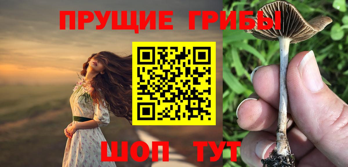 Псилоцибиновые грибы Magic Shrooms  Галлюциногенные грибы MAGIC MUSHROOMS  Вход с VPN  Тамбов 